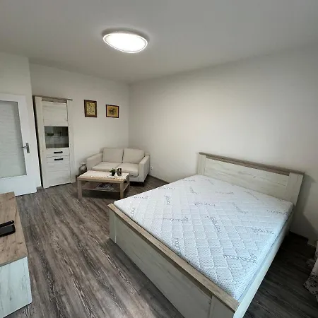 Joyful Journey By Lmg Apartment